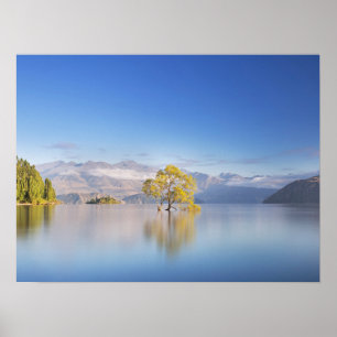 Wanaka Tree New Zealand Landschaftsfotografie Poster