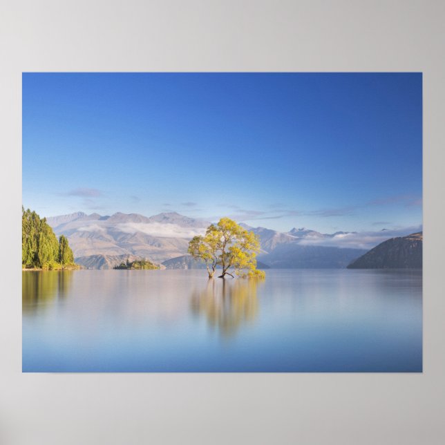 Wanaka Tree New Zealand Landschaftsfotografie Poster (Vorne)