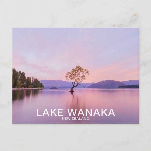 Wanaka Tree Sunrise Nature Travel Postkarte (Vorderseite)