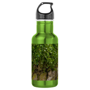 Wand der Ivy-Wasserflasche Edelstahlflasche