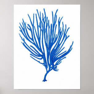 WAND-Kunst-Druck des blaues Seekorallenroter Poster