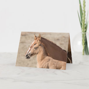 Wanda the Wild Filly Wild Horse Greeting Card Karte