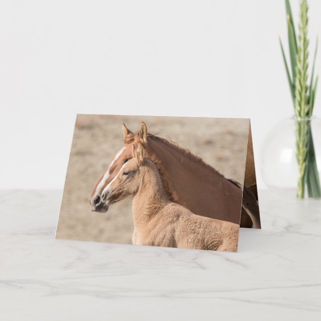 Wanda the Wild Filly Wild Horse Greeting Card Karte (Vorderseite)