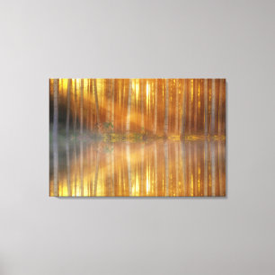 Wandbild aus Leinwand Wald aus Birken