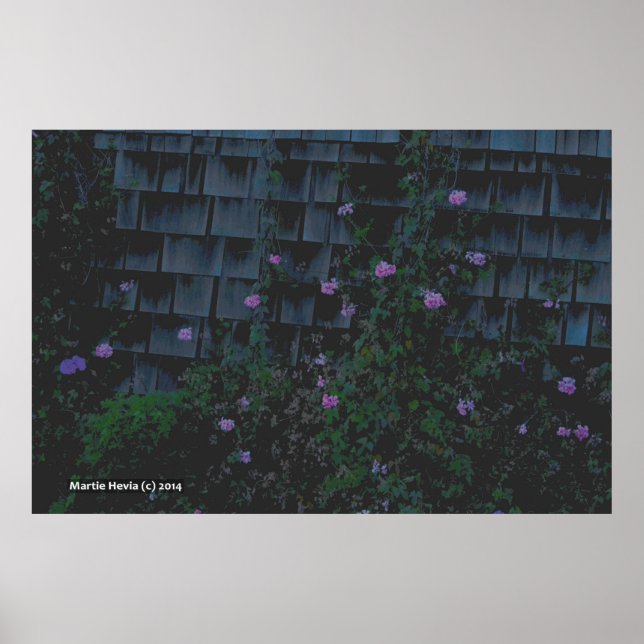 Wandblumen Poster (Vorne)