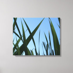 Wanddekor aus grasbewachsenen Canvas Leinwanddruck