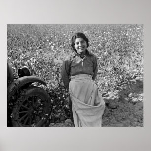 Wanderarbeiter in Cotton Field von Dorothea Lange Poster
