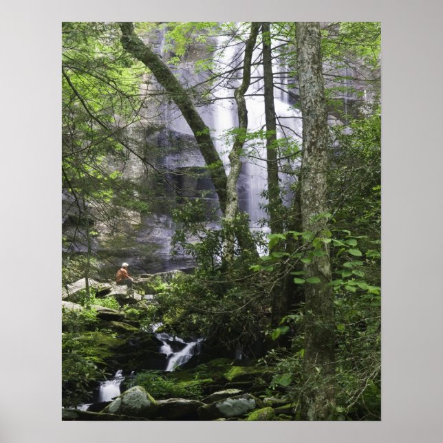 Wanderer bewundert Falls Branch Falls Poster (Vorne)