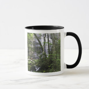 Wanderer bewundert Falls Branch Falls Tasse