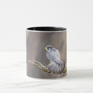 Wanderfalke am Palisades-zwischenstaatlichen Park Tasse