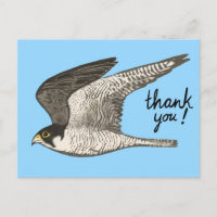 Wanderfalke Buntstift THANK YOU