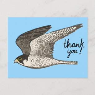 Wanderfalke Buntstift THANK YOU Postkarte