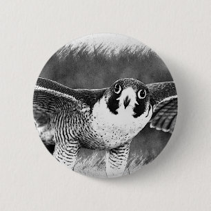 Wanderfalke Button