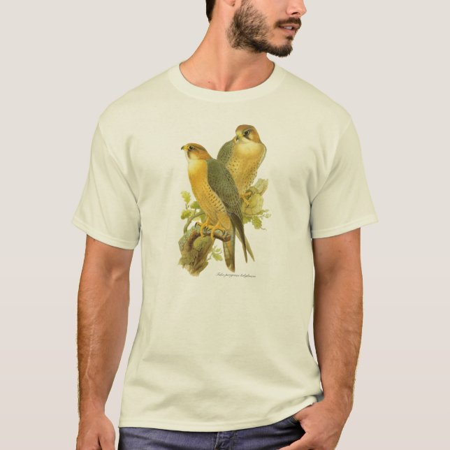 Wanderfalke (Falco peregrinus babylonicus) T-Shirt (Vorderseite)