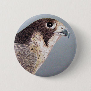 Wanderfalke-Knopf Button