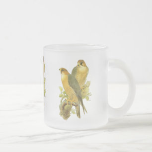 Wanderfalke Mattglastasse