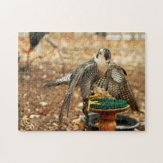 Wanderfalke, Raubvogel Puzzlespiel Puzzle (Horizontal)