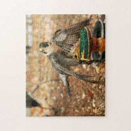 Wanderfalke, Raubvogel Puzzlespiel Puzzle
