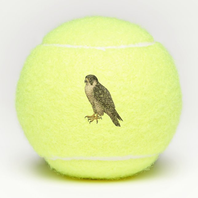 Wanderfalke Tennisbälle (Vorderseite)