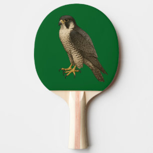 Wanderfalke Tischtennis Schläger