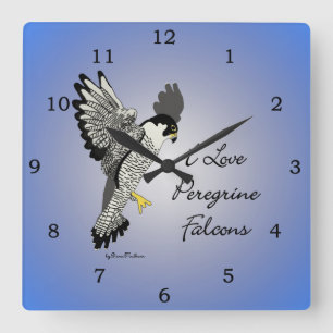 Wanderfalke-Uhr Quadratische Wanduhr