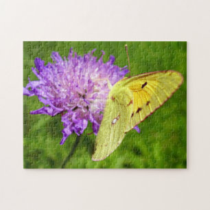 Wanderfalter-Foto-Puzzle und Geschenkbox Puzzle