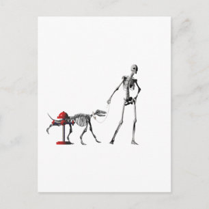 Wanderhund Postkarte