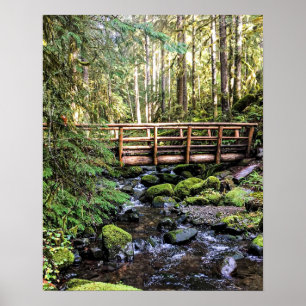 Wanderlust Beauty // Friedliche Gewässer Poster