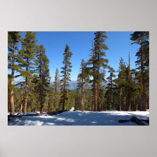 Wandern ab Mitchell Peak in Sequoia Poster (Vorne)