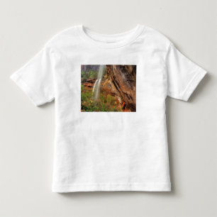 Wandern auf dem Emerald Pools Trail im Zion Nation Kleinkind T-shirt