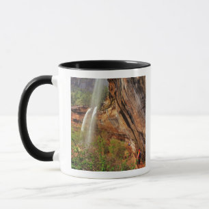Wandern auf dem Emerald Pools Trail im Zion Nation Tasse