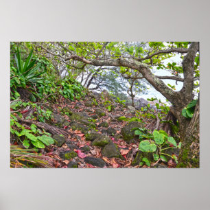 Wandern auf dem Kalalau-Trail, Napali-Küste, Kauai Poster