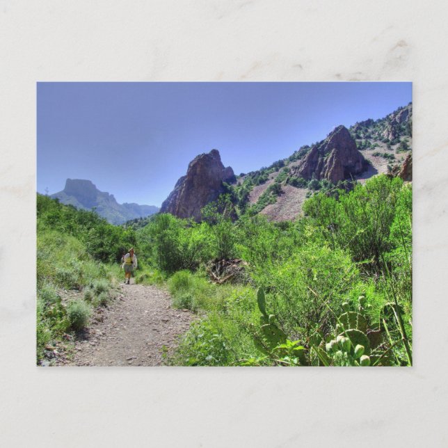 Wandern Big Bend Postkarte (Vorderseite)