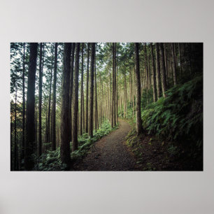 Wandern im Gebirge Wakayama, Japan Poster
