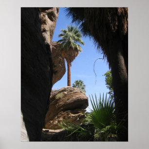 Wandern im Indischen Canyon, Palm Springs, CA, Wüs Poster