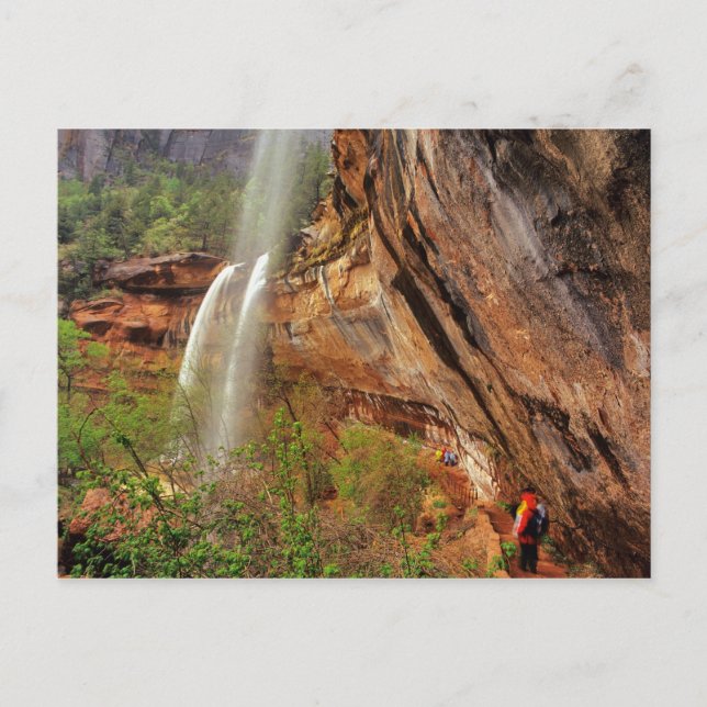 Wandern im Smaragdgrünen Poolbereich im Zion Natio Postkarte (Vorderseite)