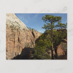 Wandern im Val Piora Nationalparkprojekt des Zion Postkarte