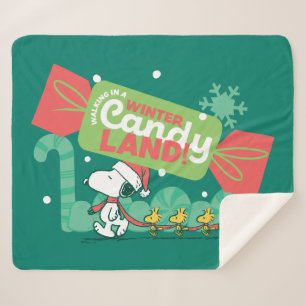 Wandern in einem winterlichen, feinen Land! Sherpadecke