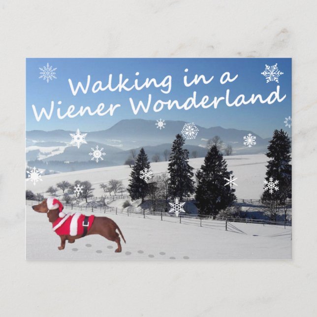 Wandern in einer Dackel Wunderland Postkarte (Vorderseite)