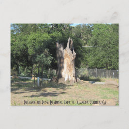 Wandern in Pleasanton, CA 6 Postkarte