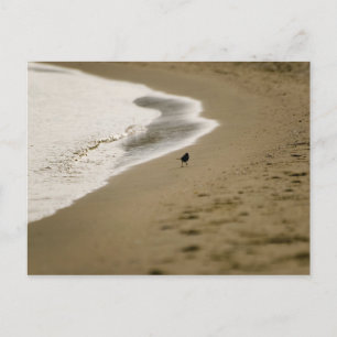 Wandern Postkarte