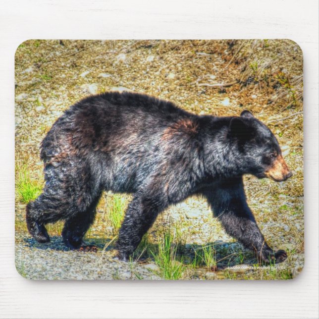 Wandern Schwarzer Bär Wildlife Foto Mousepad (Vorne)