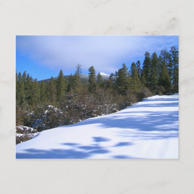Wandern zu Hager Berg Feuer Locarno Postkarte (Vorderseite)
