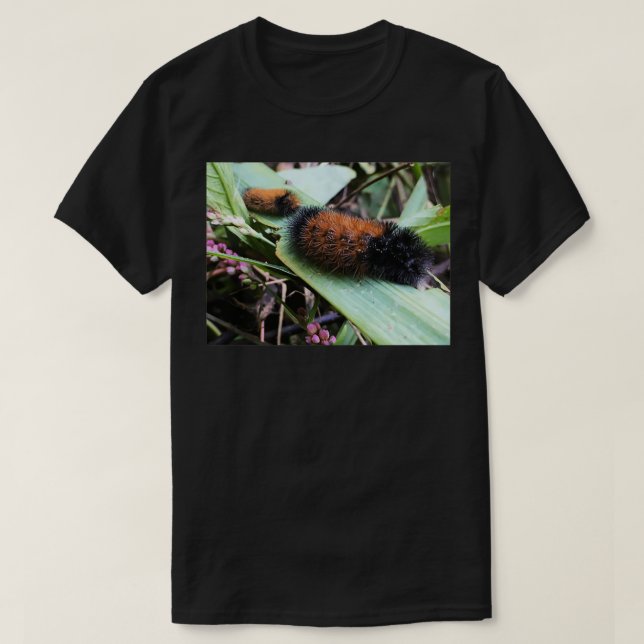 Wandernde Wollbären T-Shirt (Design vorne)