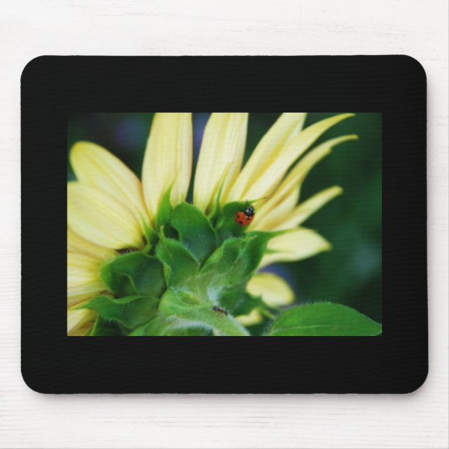 Wandernder Marienkäfer Mousepad (Vorne)