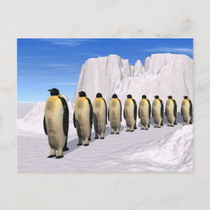 Wanderpinguine Postkarte
