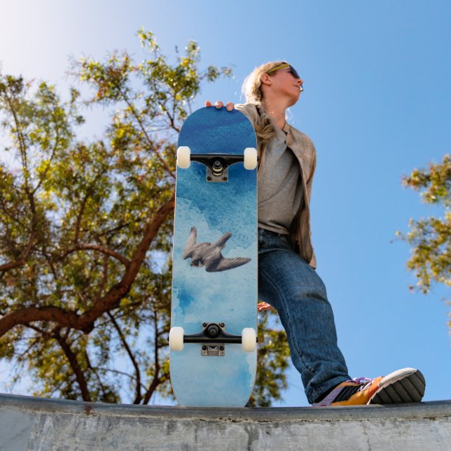 Wandertauben-Falke Skateboard (Außenbereich 1)