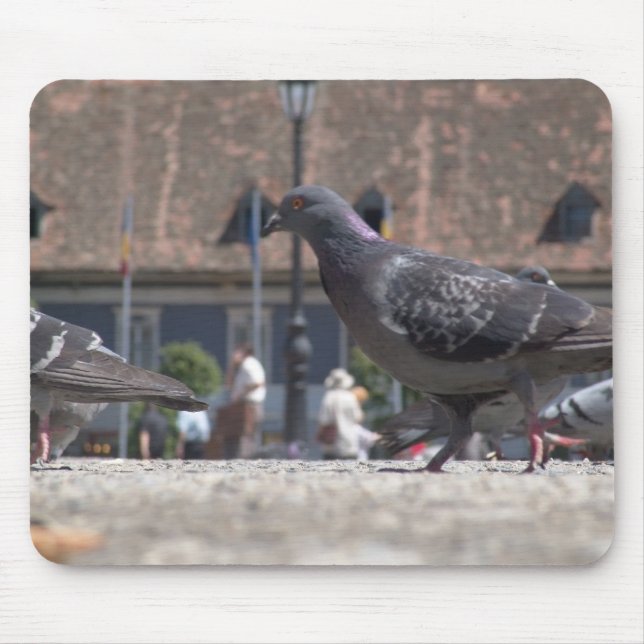 Wandertauben Mousepad (Vorne)
