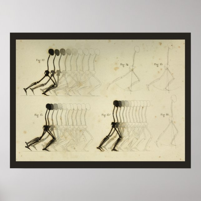 Wanderung Gait Analysis Leg Spine Chiropractic Cha Poster (Vorne)