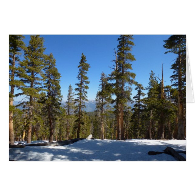 Wanderung hinab von Mitchell Peak im Sequoia (Vorderseite (Horizontal))